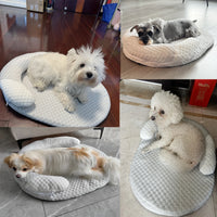 Pet Cooling Bed